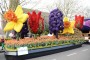 Thumbs/tn_Bloemencorso 2015 068.jpg